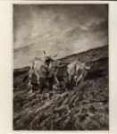 Fattori, Giovanni , Buoi