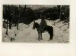 Fattori, Giovanni , Uomo a cavallo nella neve