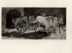 Fattori, Giovanni , Buoi bianchi col carro