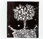 Anonimo ; Anonimo , s.v.