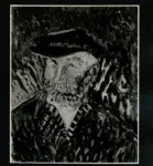 Agenzia Fotografica Internazionale , Barbaro, Saverio - sec. XX - L'uomo rude