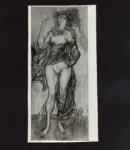 Barbieri, Carlo , Venere