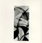 &nbsp; , Balla, Giacomo - sec. XX -