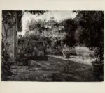 Bertocchi, Nino , Giardino