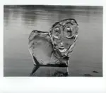 Anonimo , Bianconi, Fulvio - sec. XX - Ritratto