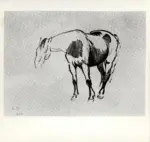 Bocchi, Amedeo , Studio di cavallo -