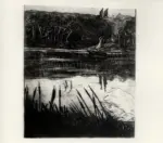 Boccioni, Umberto , Gli amanti del lago