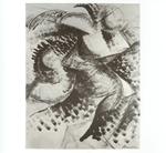 Boccioni, Umberto , Scomposizione dinamica di una figura