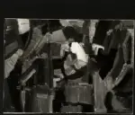 Fototecnica Fortunati , s.v.