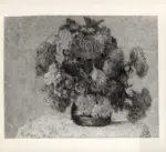 Bosia, Agostino , Vaso di fiori