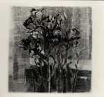 Bruscaglia, Renato , Fiori