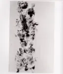 Bueno, Antonio , Impronte di corpi