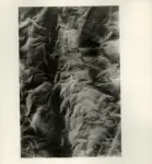 Cagli, Corrado , Gea