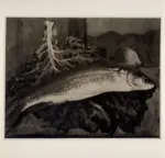 Caligiani, Alberto , Pesce