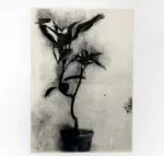 Carrà, Carlo , Società Umanitaria. Esercitazioni dirette da Carlo Carrà