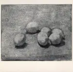 Anonimo ; Anonimo , s.v.