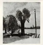 Casorati, Felice , Paesaggio primaverile