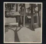 Casorati Maugham, Daphne , Parco Michelotti