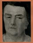 Cavalli, E. , Ritratto della Signora B.L. (particolare)