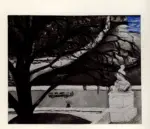 Cesetti, Giuseppe , Dipinto