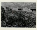 Anonimo ; Anonimo , Ciardo, Vincenzo - -