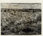 Ciardo, Vincenzo , Salento sassoso -