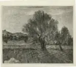 Ciardo, Vincenzo , L'ulivo