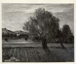 Ciardo, Vincenzo , L'ulivo -
