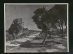 Ciardo, Vincenzo , La via di Leuca -