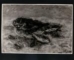 Ciardo, Vincenzo , Pesci -