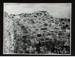 Ciardo, Vincenzo , Salento in grigio
