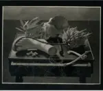 Colacicchi, Giovanni , Natura morta