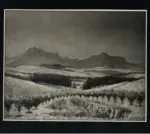 Colacicchi, Giovanni , Il Farm Rulli al Capo di Buona Speranza