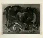 Colacicchi, Giovanni , Natura morta