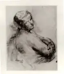 Colliva, Lea , La Nina