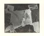 Corsi, Carlo , Collage