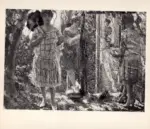 Corsi, Carlo , Estate