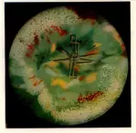 Contenotte, Bruno , Cosmovisione