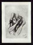Conti, Primo , Disegno
