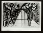 Conti, Primo , Il giardino della menta. Disegno