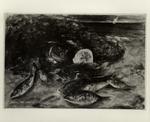 Colucci, Vincenzo , Studio