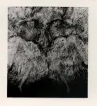 Cominetti, Giuseppe , Ballerine di cancan