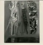 Anonimo ; Anonimo , s.v.