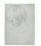 Cuneo, Renata , disegno -