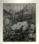 Da Venezia, Eugenio , Rose a Cortina (I premio alla Mostra Naz. di Rovigo 1951)