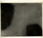 Davico, Mario , Superficie