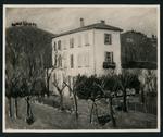 Alvino, R. , s.v.