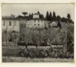 Foto Barsotti , s.v.