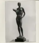 D'Antino, Nicola , La colomba