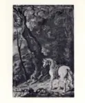 Anonimo ; Anonimo , s.v.